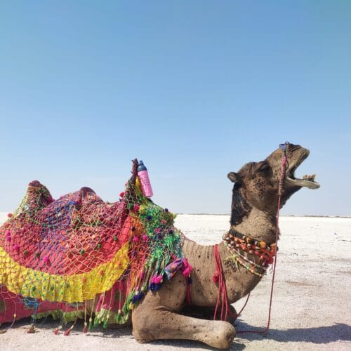 Rann of Kutch