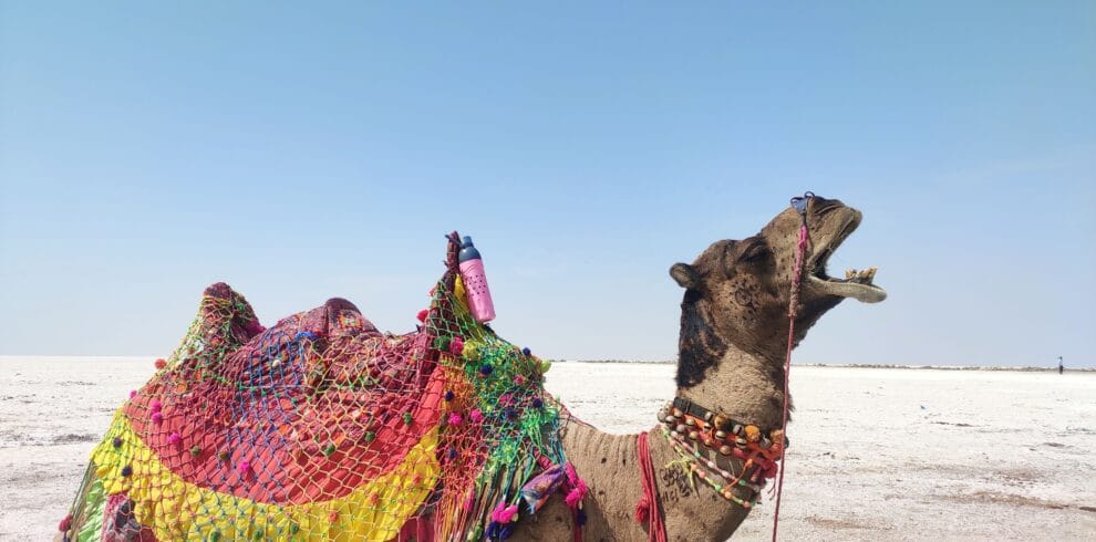 Rann of Kutch