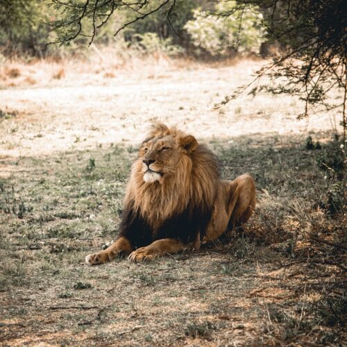 Rajasthan Heritage Wildlife Tour Package