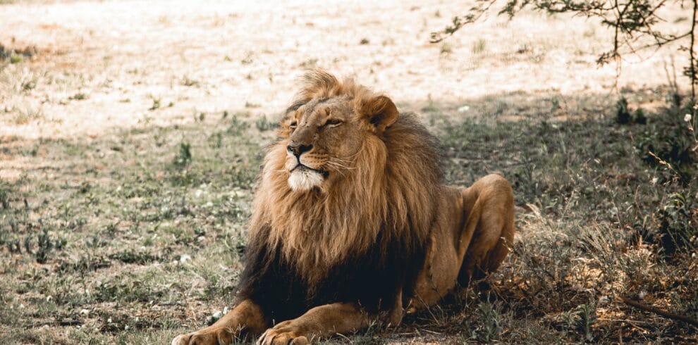 Rajasthan Heritage Wildlife Tour Package