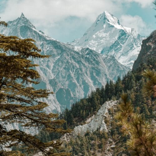 Gangotri Tour Package by Friends Tours