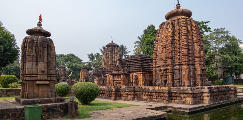 Odisha Culture Wildlife Tour Package