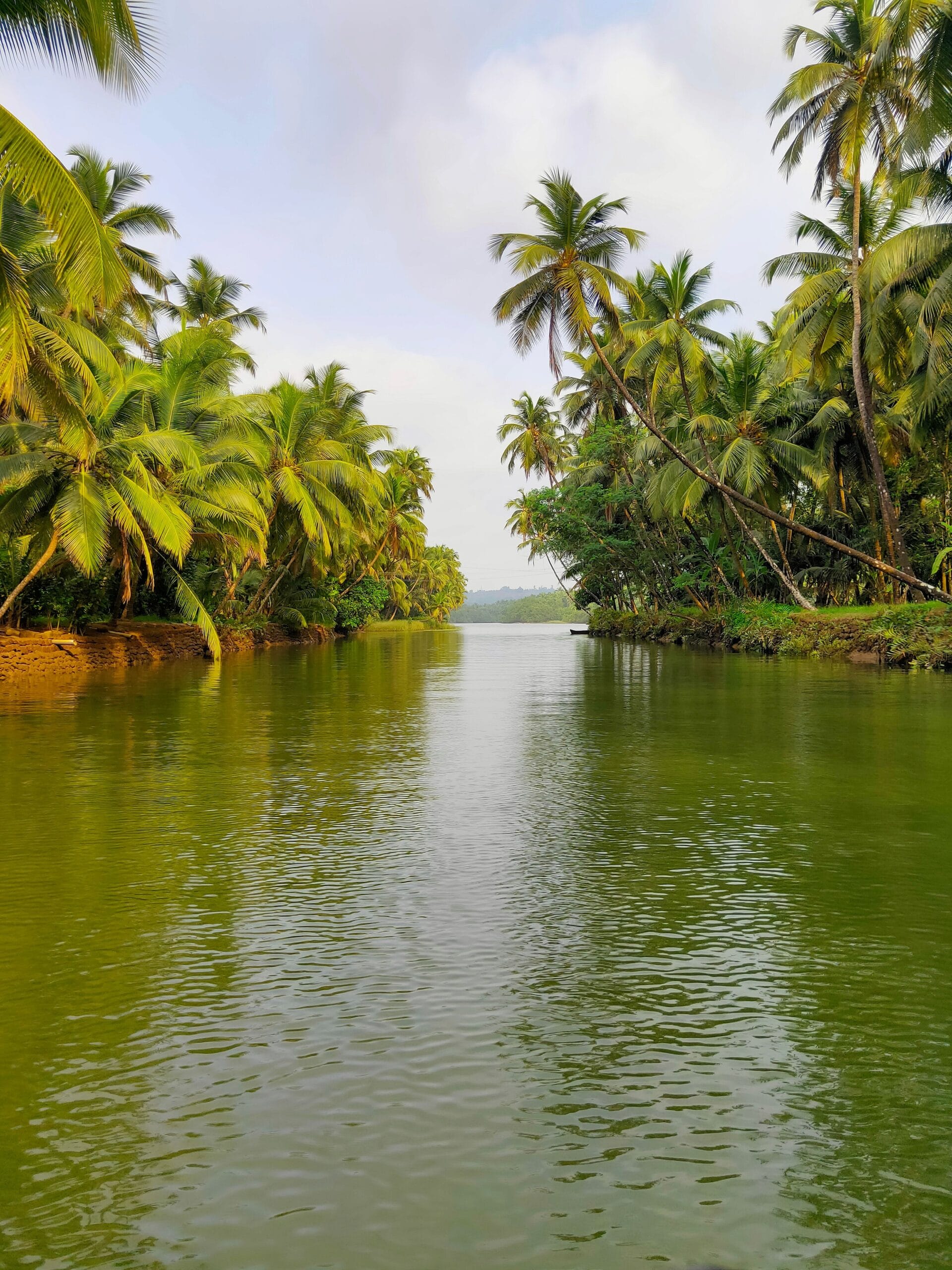 Kerala Tour Package by Friends Tours