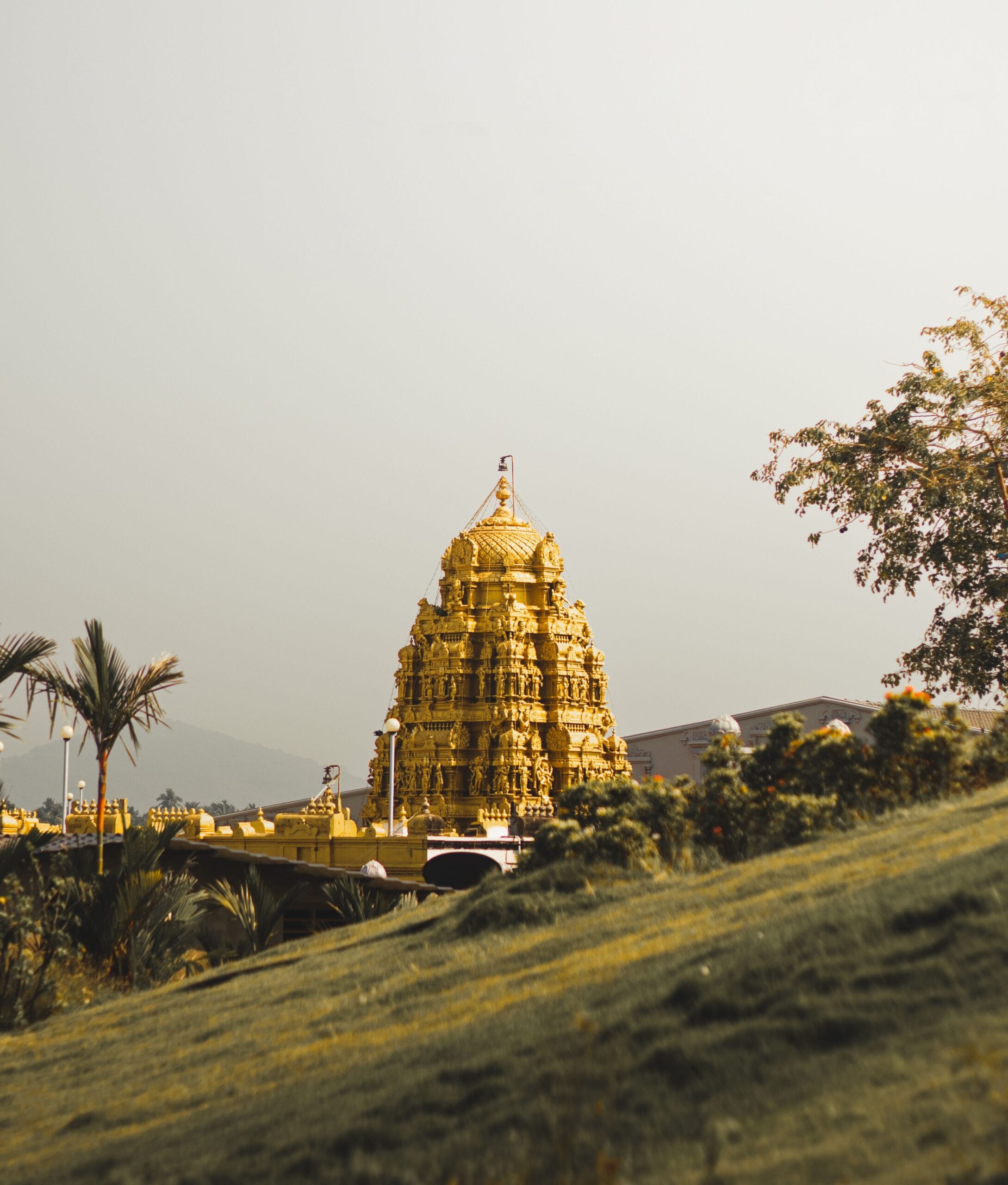 Andhra Pradesh Tour Package by Friends Tours