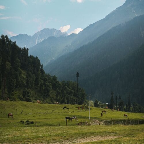Doodhpathari Tour Package by Friends tours