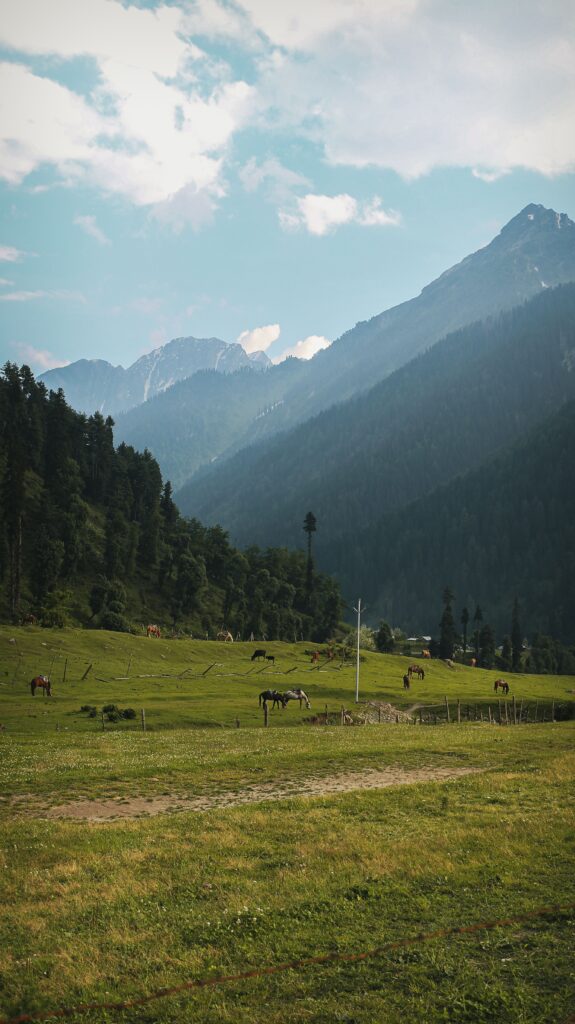Doodhpathari Tour Package by Friends tours